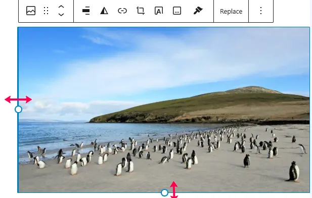 Adjust Image In Gutenberg