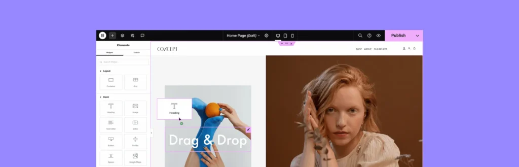 Elementor WordPress page builder