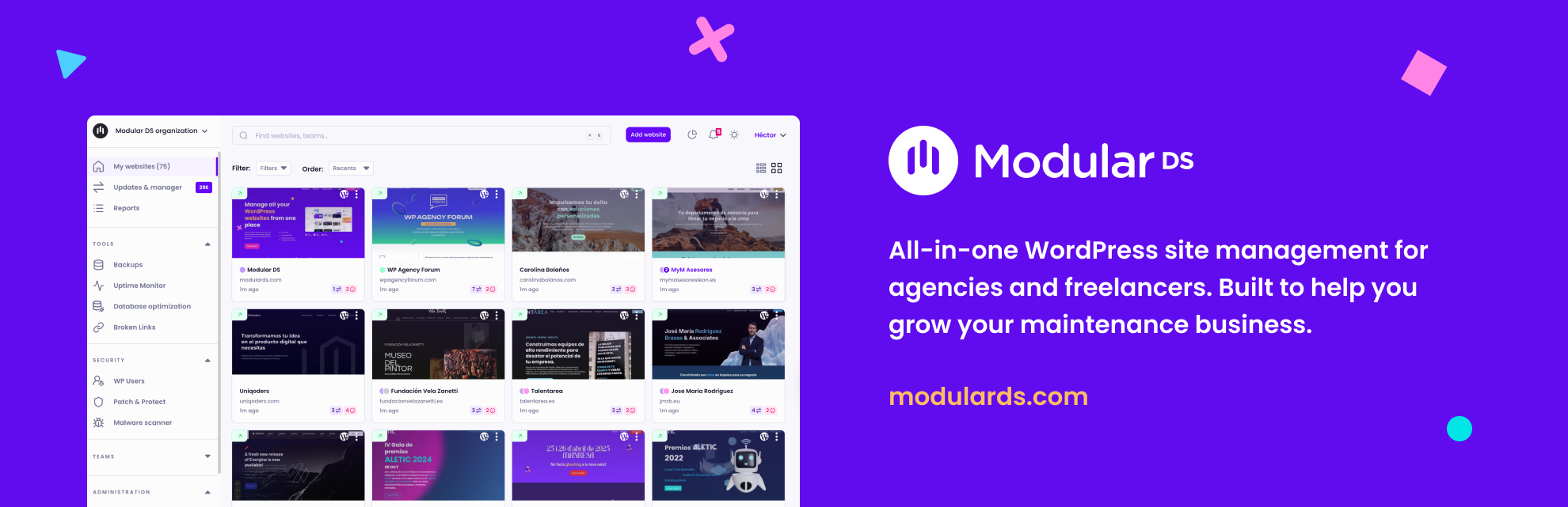 Modular DS WordPress plugin banner