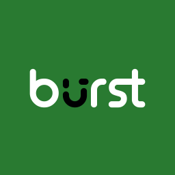 Burst Statistics icon