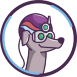 Damian Góra Web Development logo