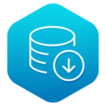 Download Manager logo