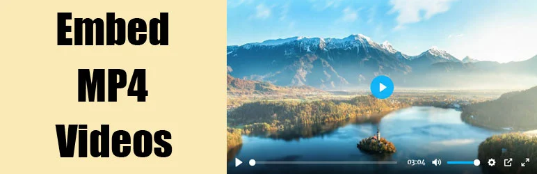 Easy Video Player