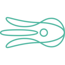 Octolize logo