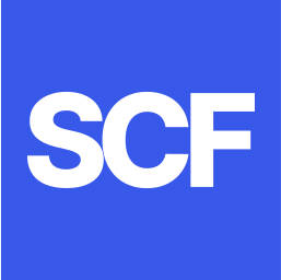 Secure Custom Fields icon